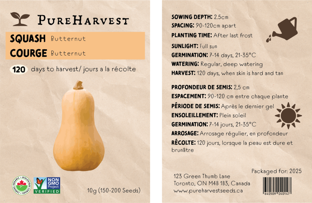 Butternut Squash Seeds